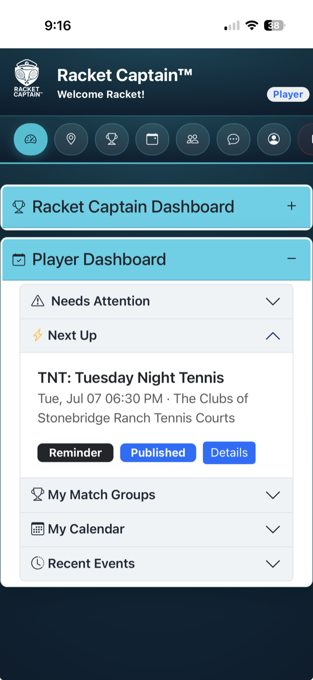 Player dashboard