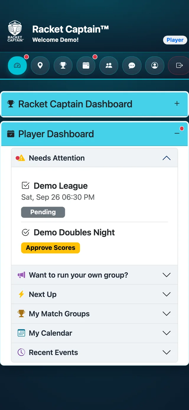Player Dashboard — Needs Attention open, one match marked Pending